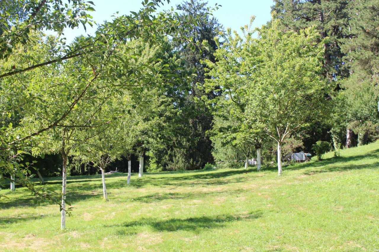 Gite 2 Du Chateau De Feschaux Villeneuve-sous-Pymont Eksteriør bilde